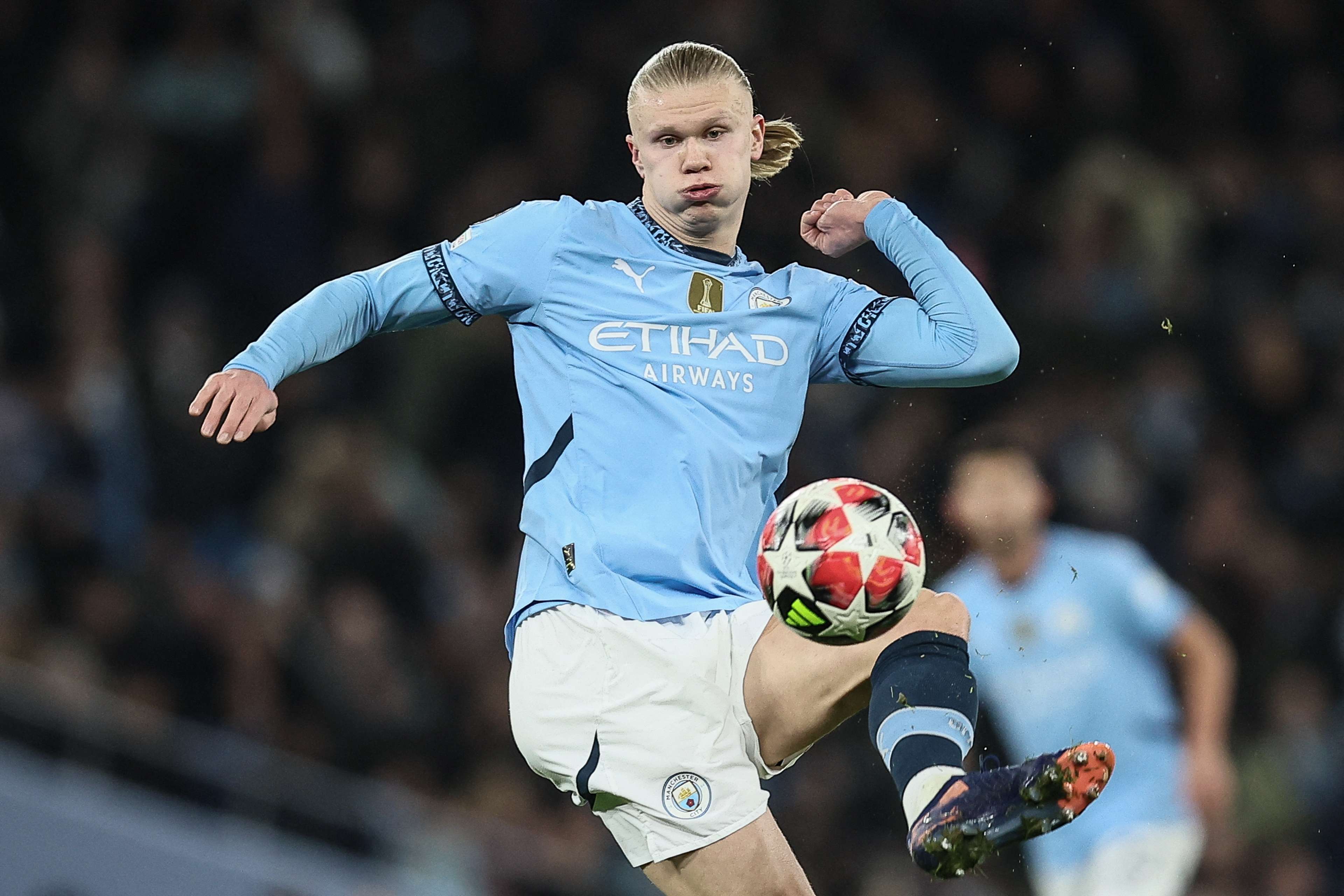 向着德甲乃 向着德甲乃